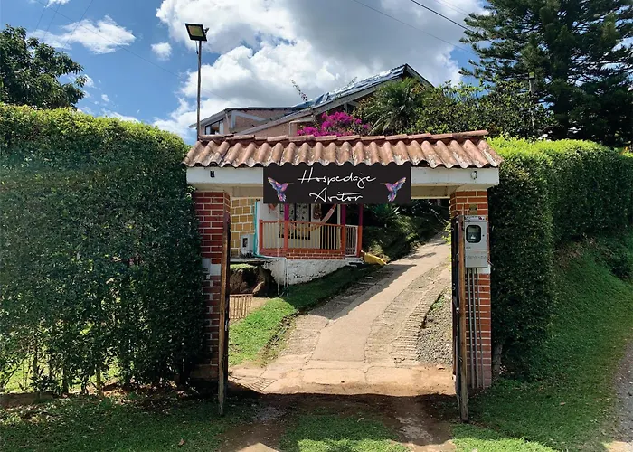 Hospedaje Avitor